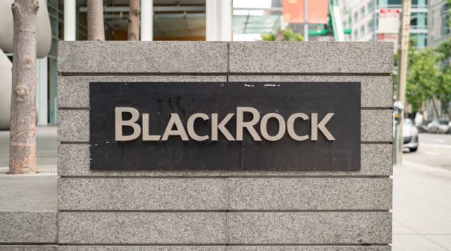 4 Growth Stocks Billionaires are Backing