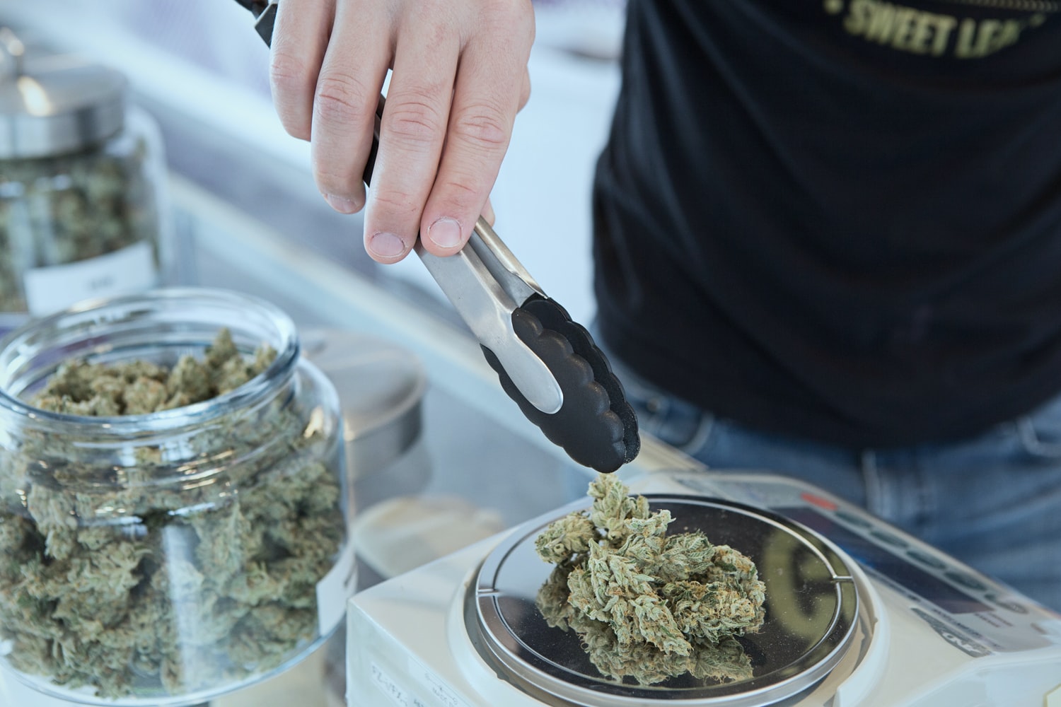 A man grabbing marijuana with pincers.
