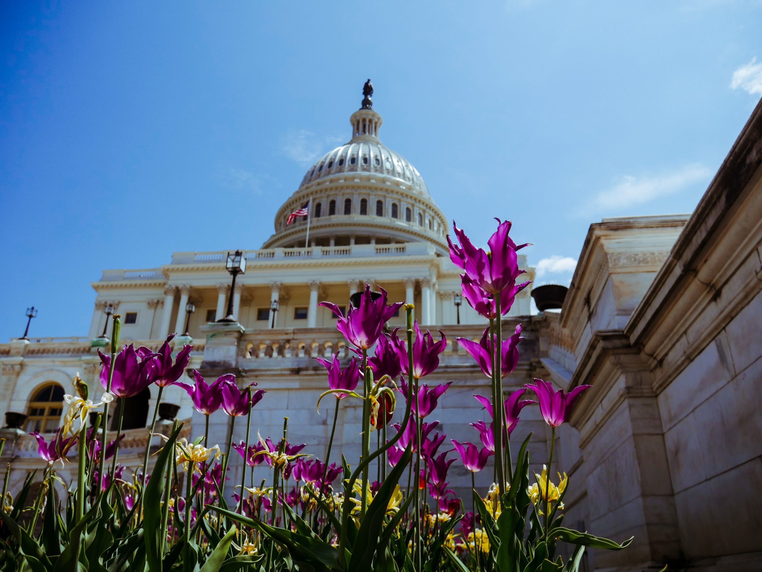 US House Senate