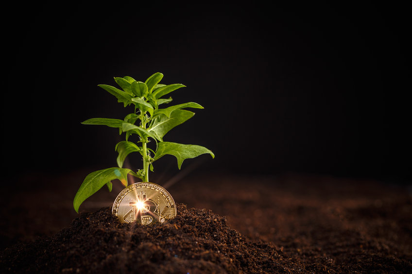 Image of a Bitcoin with a plant growing from it