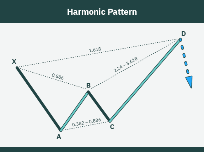 Harmonic Patterns Explained (2024): What You NEED to Know