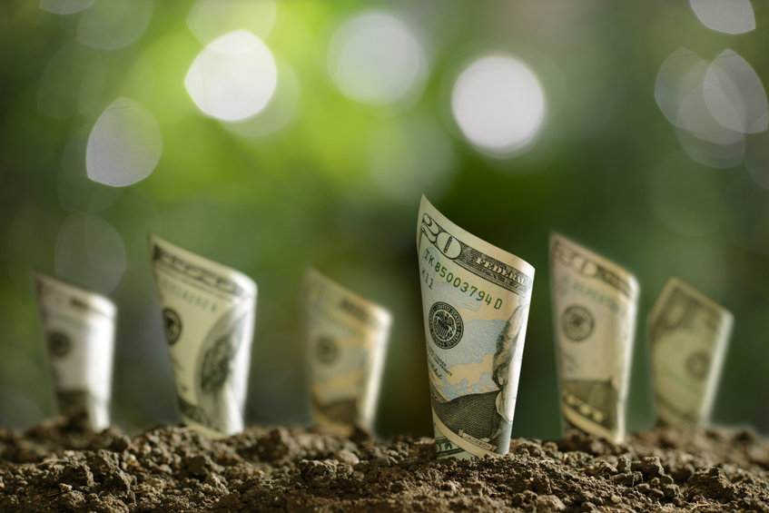 Image of dollar bills growing from the ground
