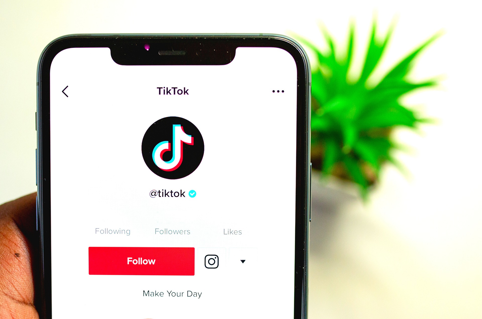 Smartphone with a TikTok screen in front of a green plant.