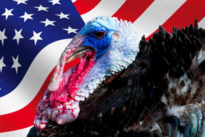 Image of a turkey and the US flag
