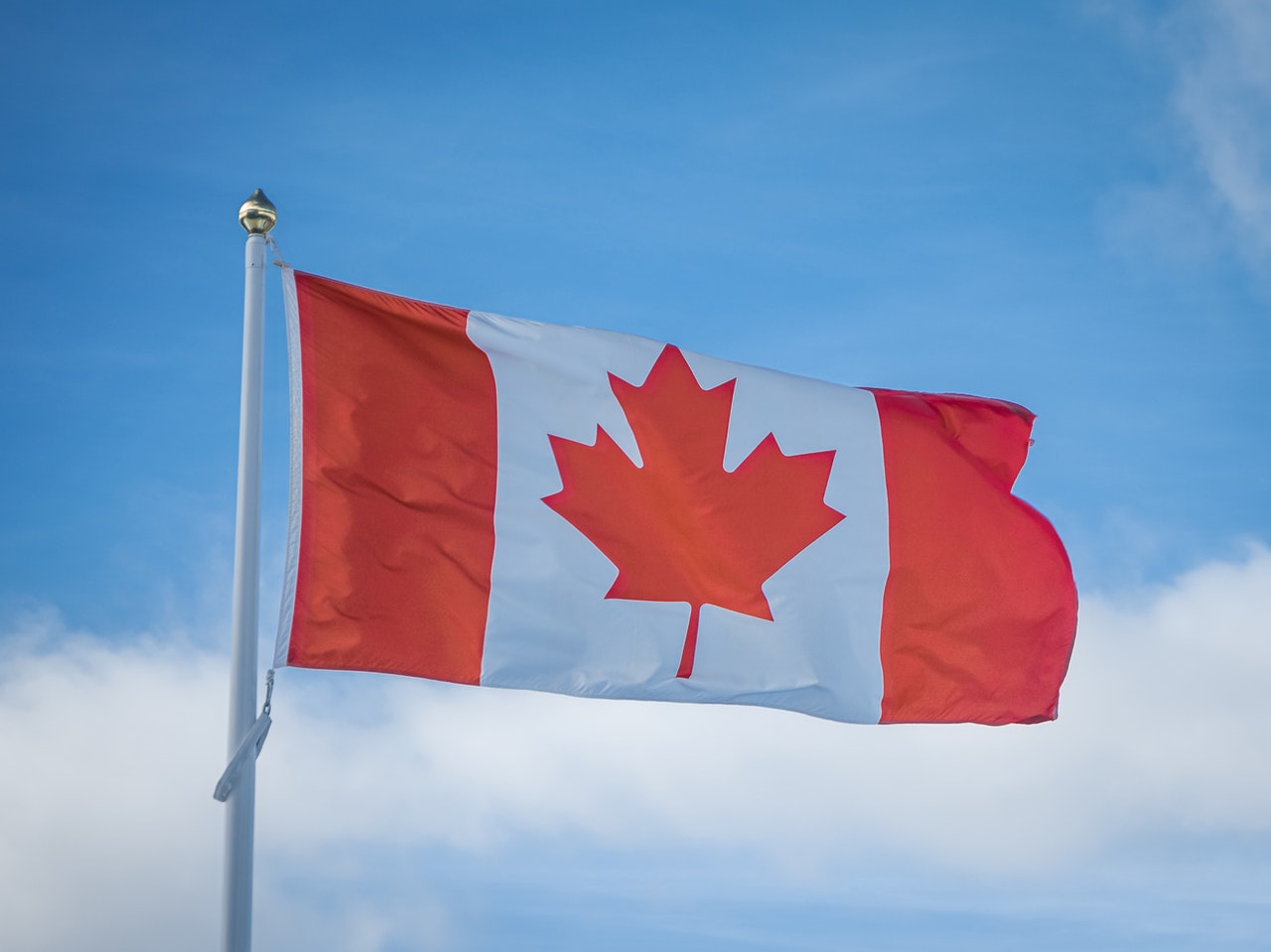 The national flag of Canada.