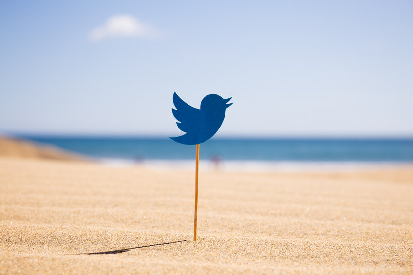 selective focus of Twitter icon on stick on sandy beach at sunny day