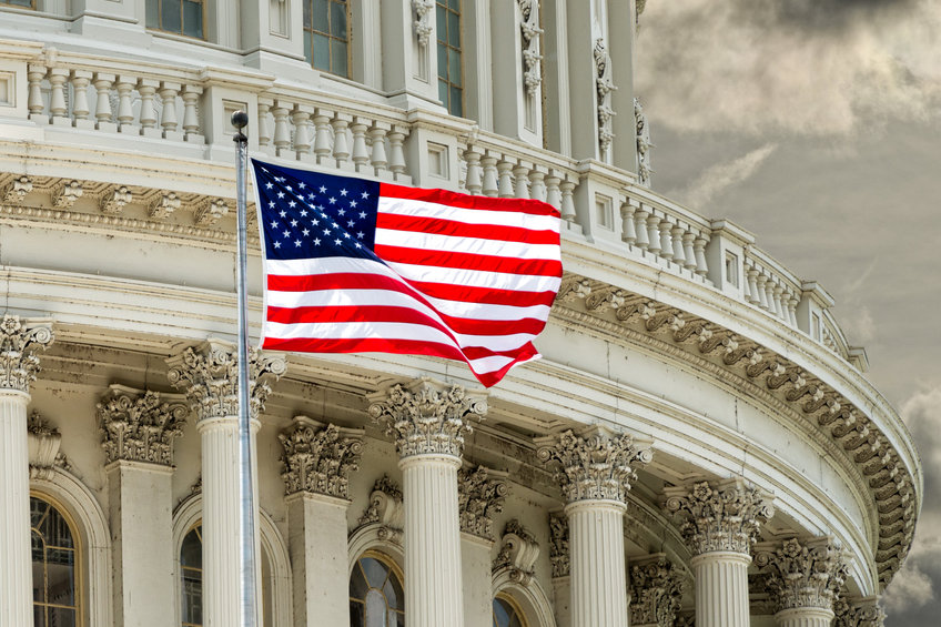 Image of US flag in Washington DC