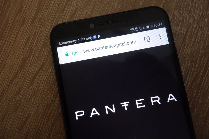 pantera capital website displayed on a modern smartphone