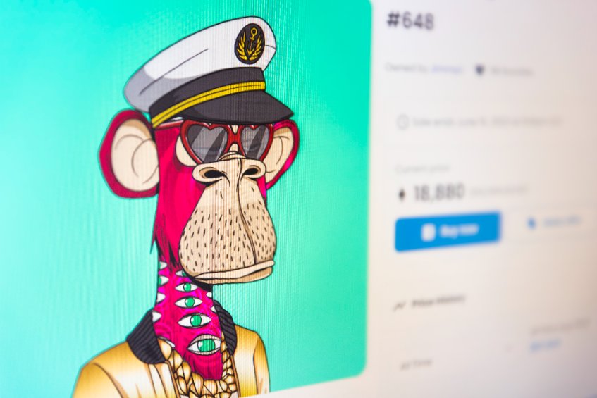the bored ape yacht club nft (bayc) is the collection of the most expensive nfts