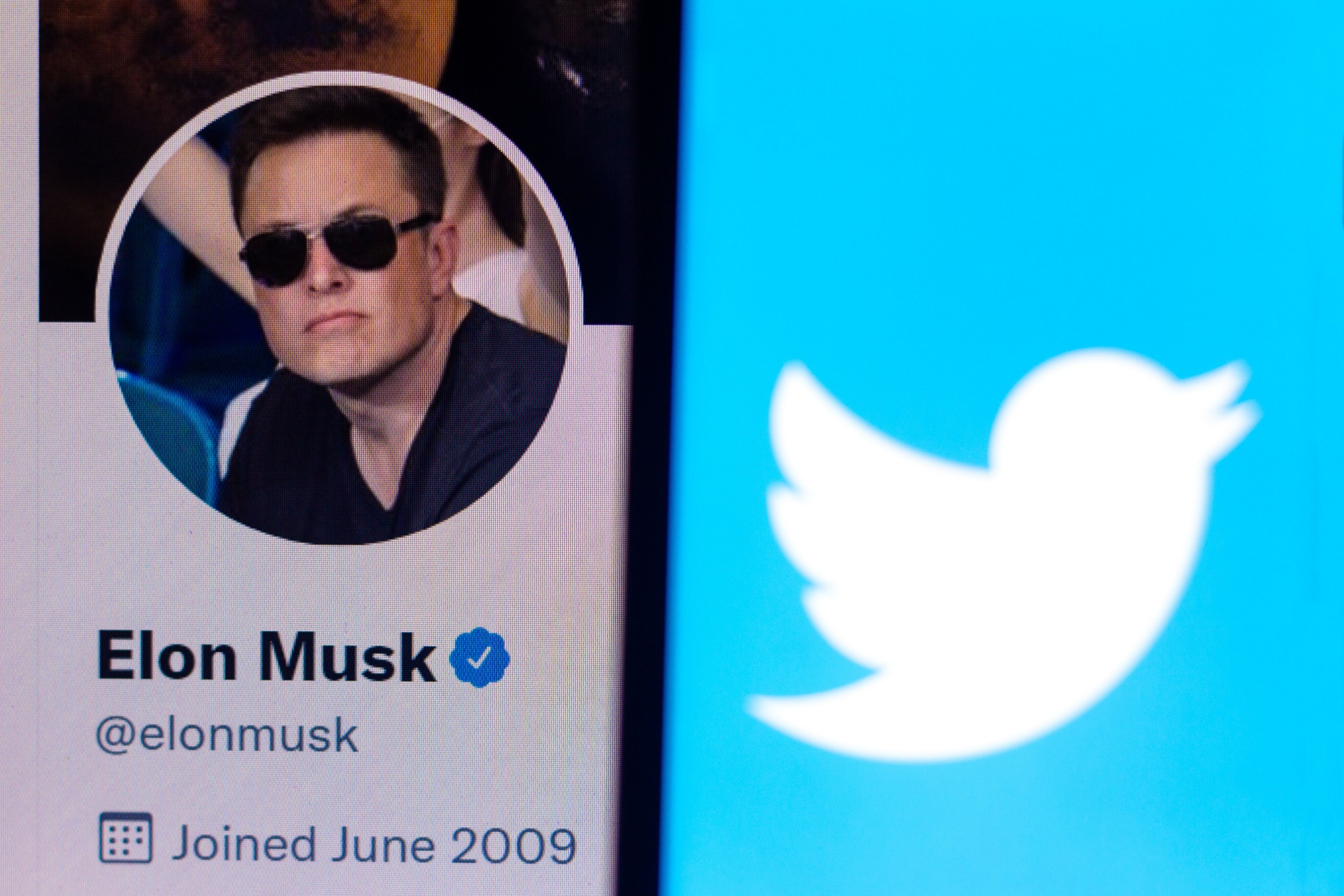 A past Twitter profile picture of Elon Musk next to Twitter's symbol.