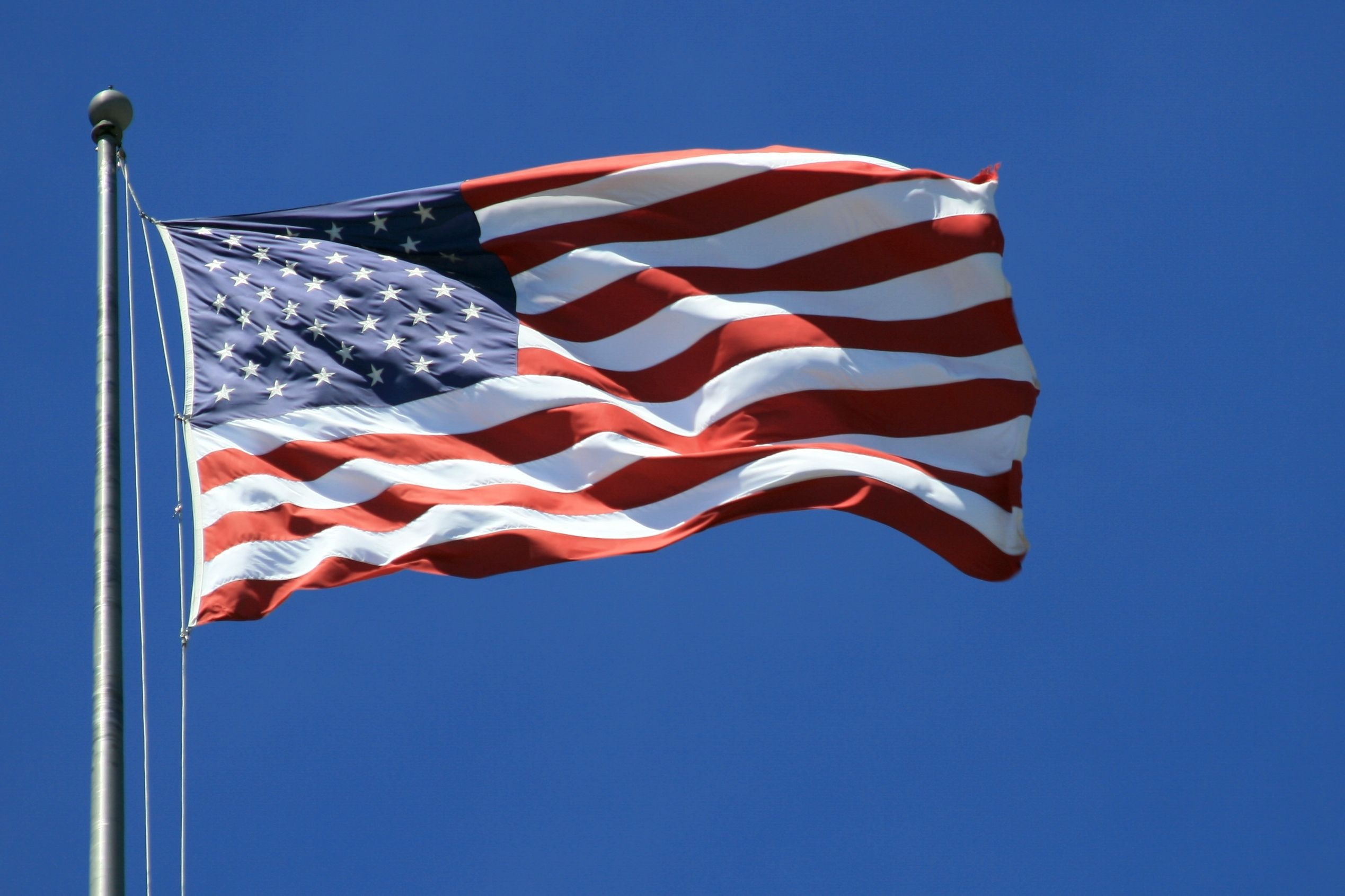 Flag in the breeze