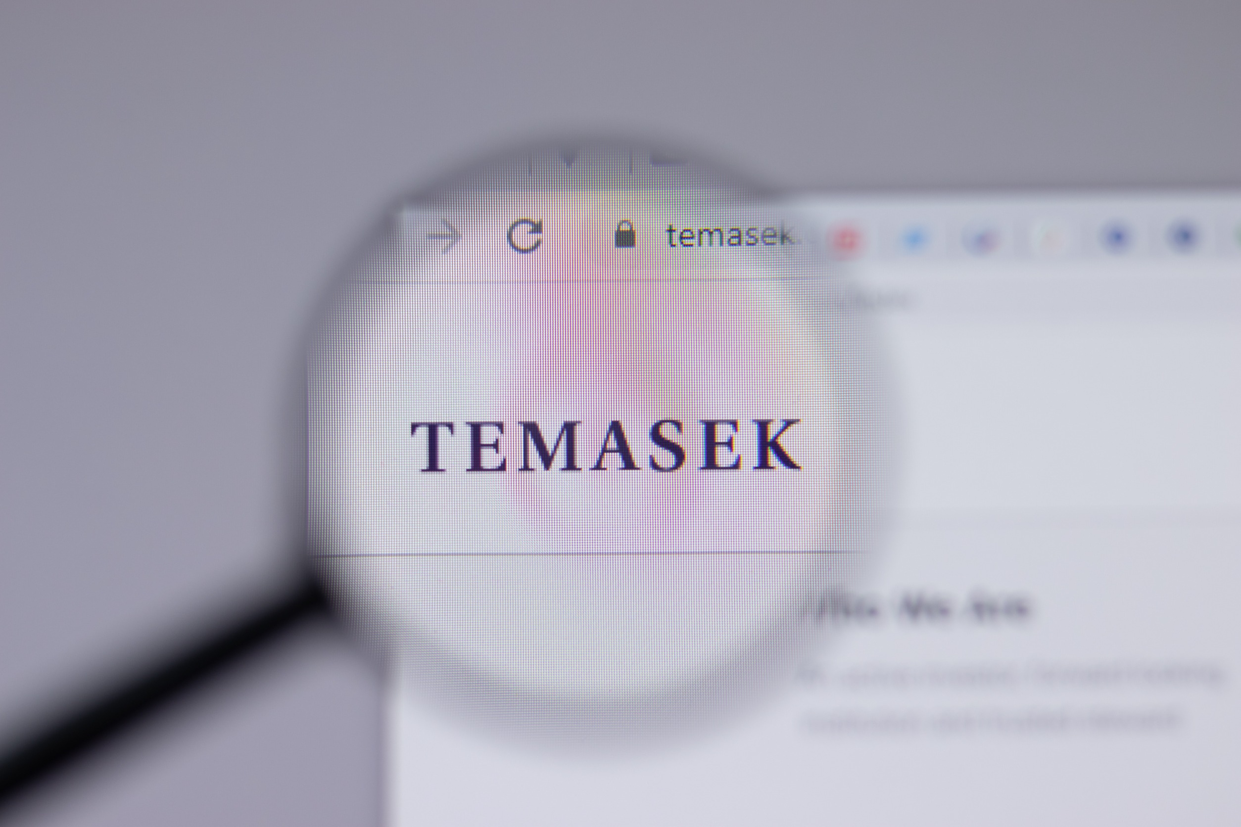 Super Stablecoin Platform Array Raises $10M from Temasek