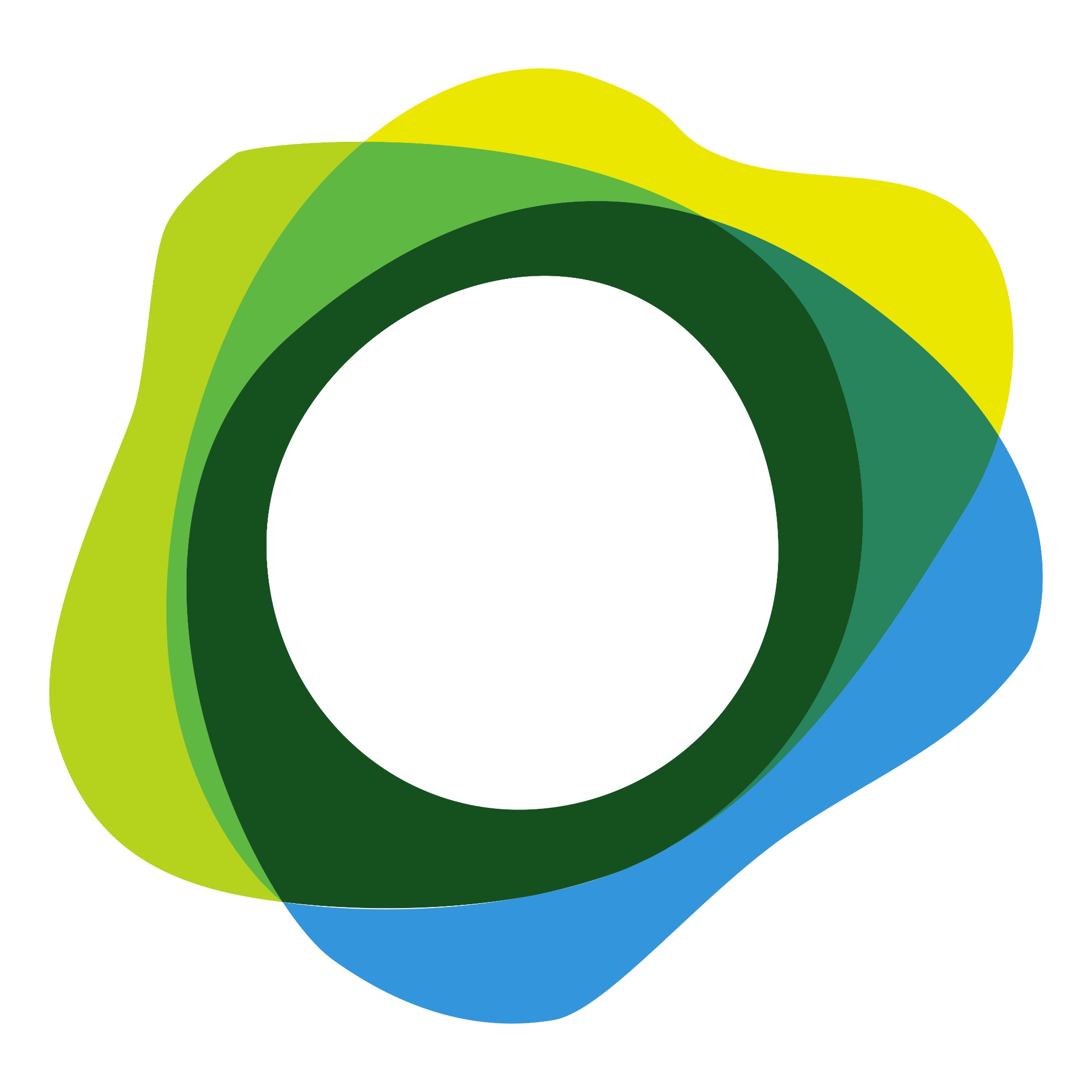Paxos Stablecoin White Label