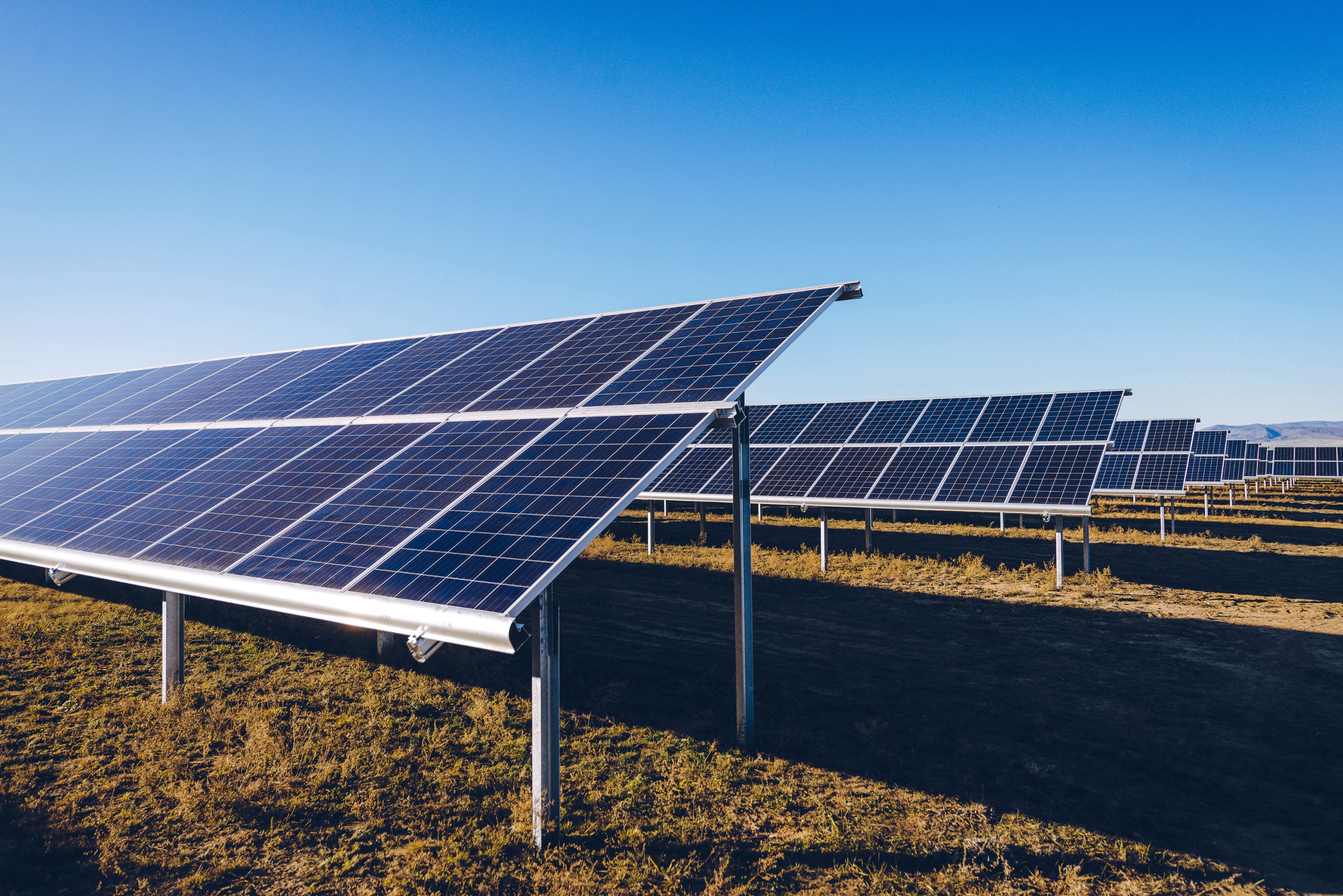 Despite the Green Energy Boom, Solar Stocks are Not Doing Great