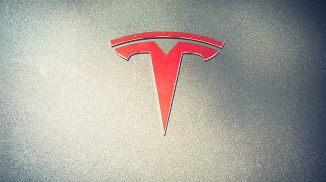 Tesla Stock Jumps 14%+ as Trump Announced 2024 Election Winner