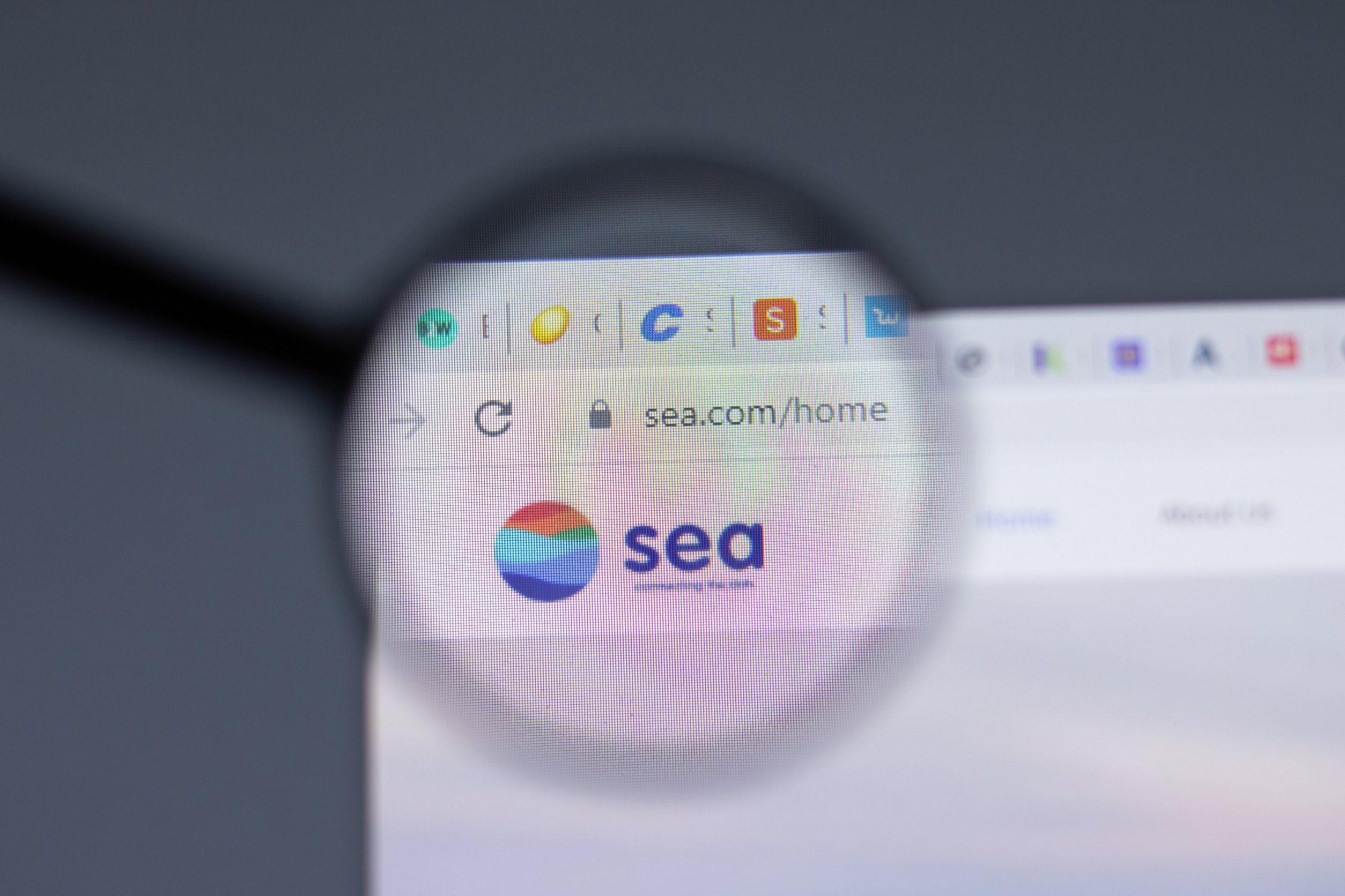 Sea Limited Surpasses Q4 Revenue Expectations with $3.6 Billion, Eyes Continued Profitability in 2024