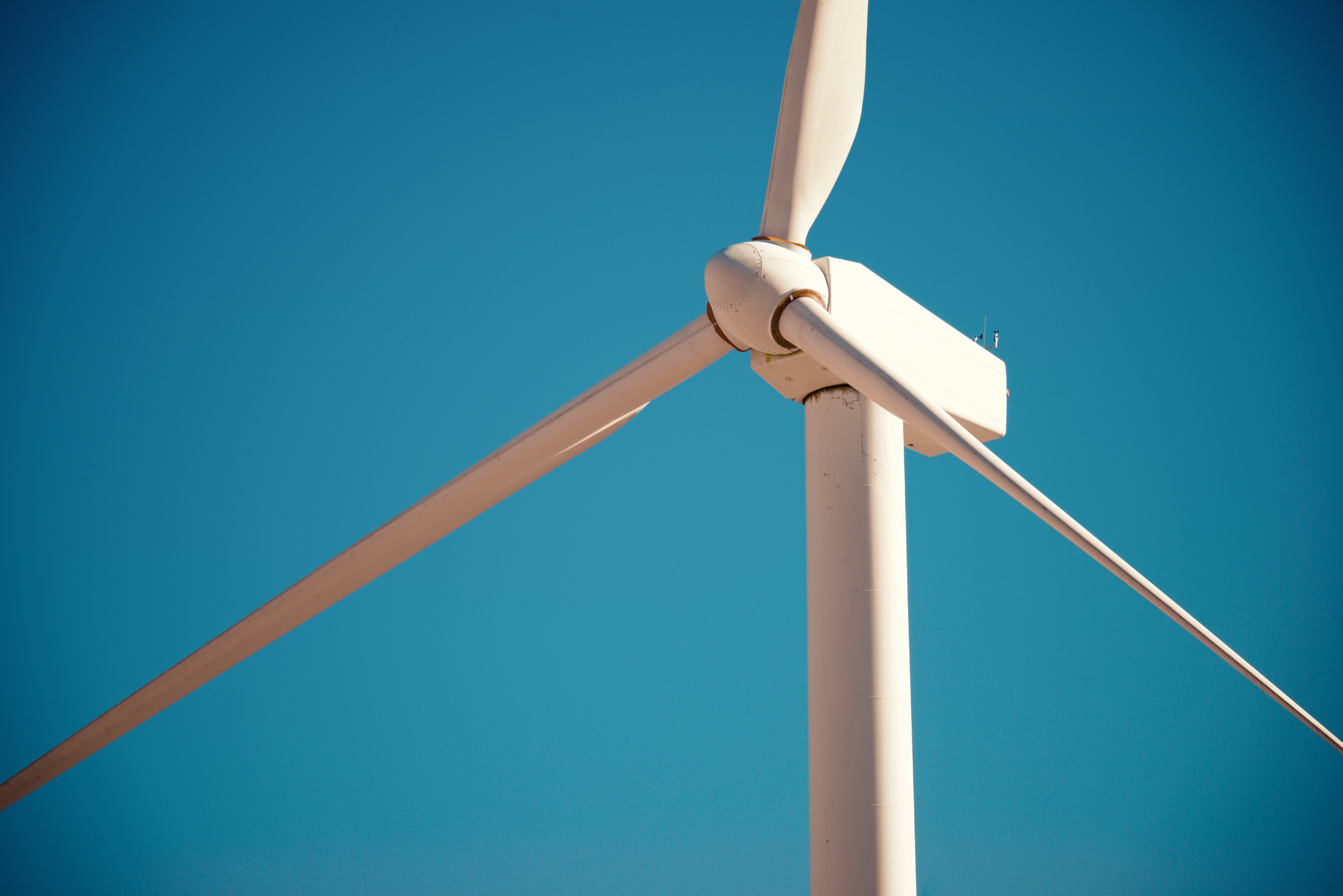 Wind Project Marks Milestone for Avangrid and Amazon, AGR Up 11% Premarket