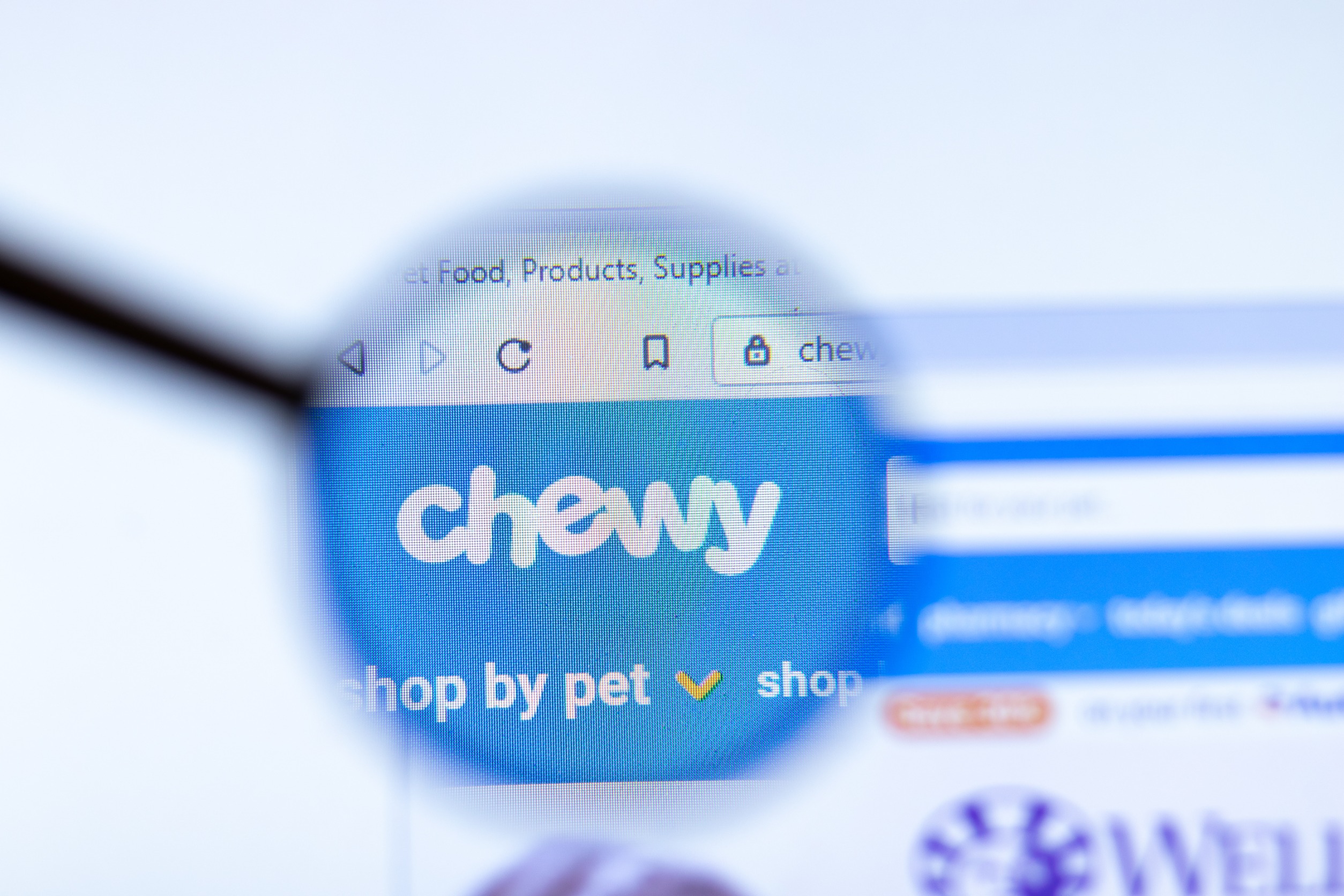 GameStop Trader Keith Gill Announces 6.6% Stake in Chewy, Shares Dip