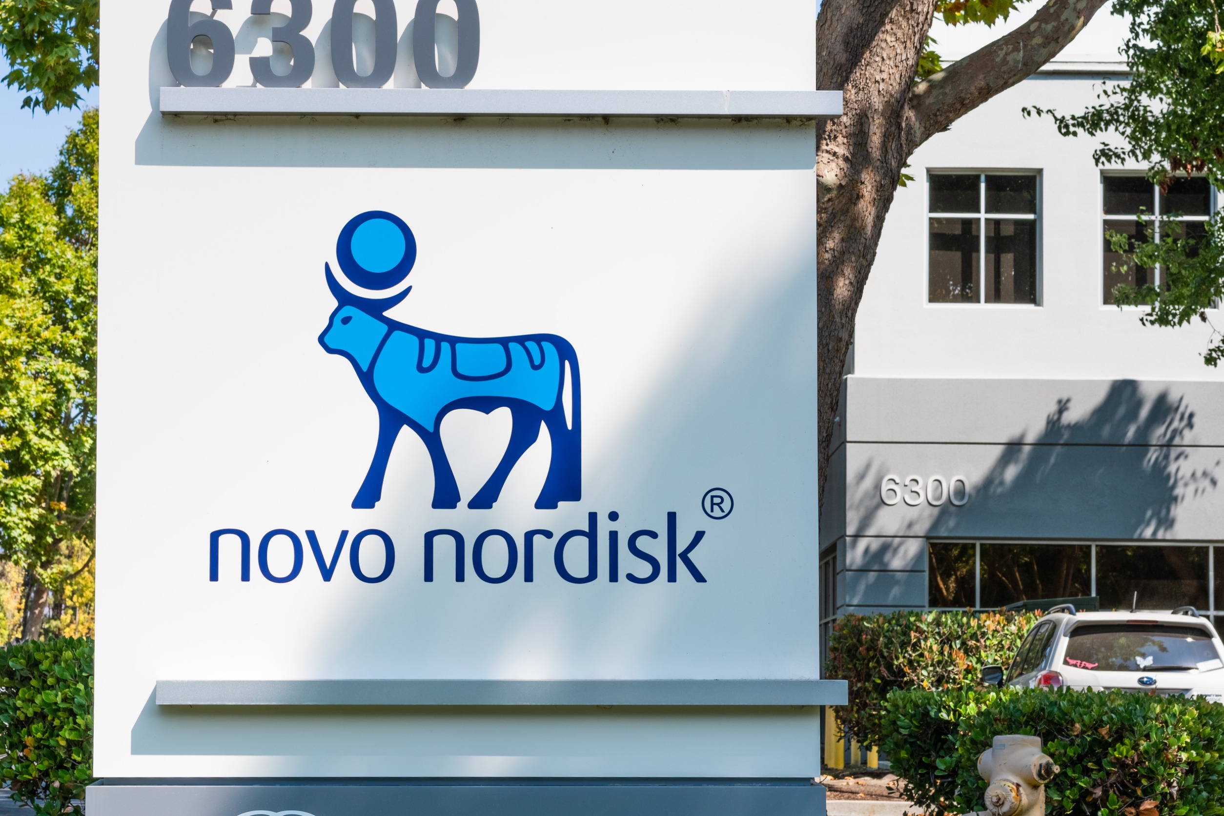 The Weight Loss Pill Market is Forecasted to Grow to $400 Billion: 3 Stocks that Will Rule it