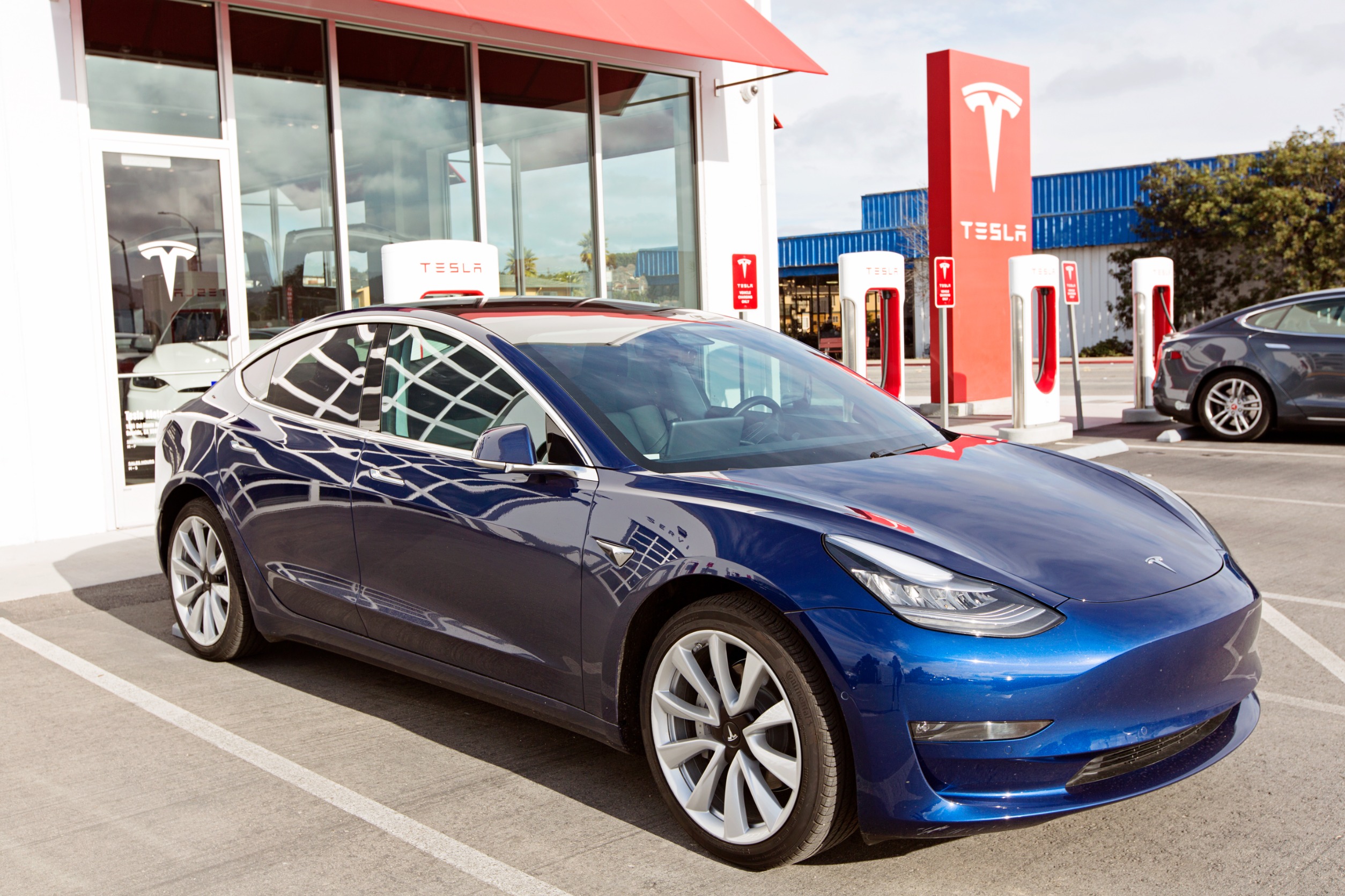 2024 Was a Bumpy Ride for Tesla Stock, Tariff-Driven 2025 Ahead?