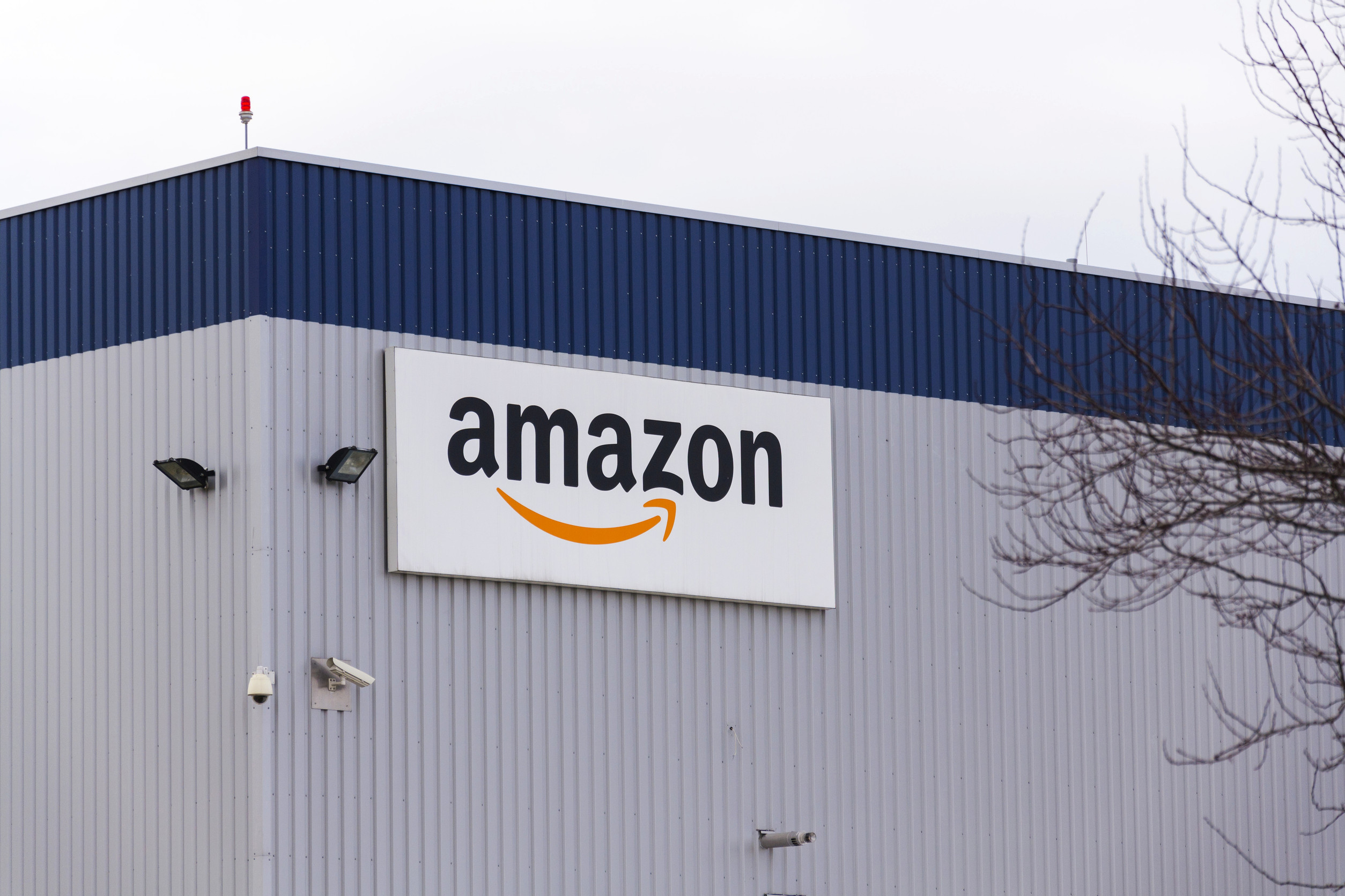TDOC Stock Gains as Collaboration with Amazon Aims to Enhance Firm's US Reach