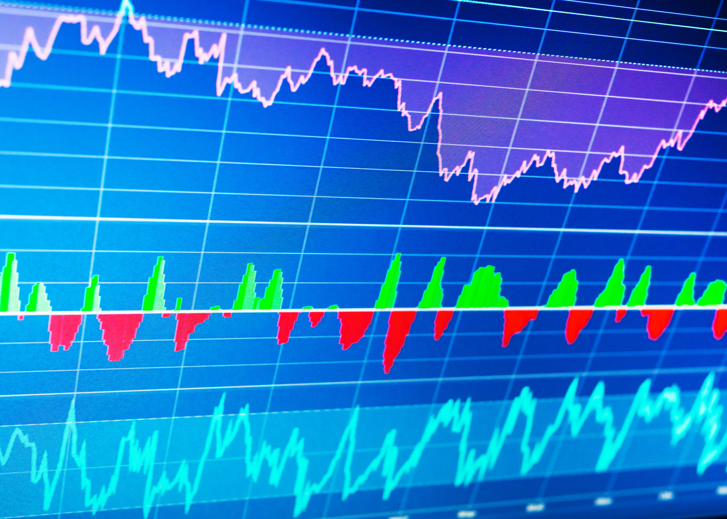 Fiscal 2024 Sees BJ’s Wholesale Club Beat Earnings Expectations, Match Revenue