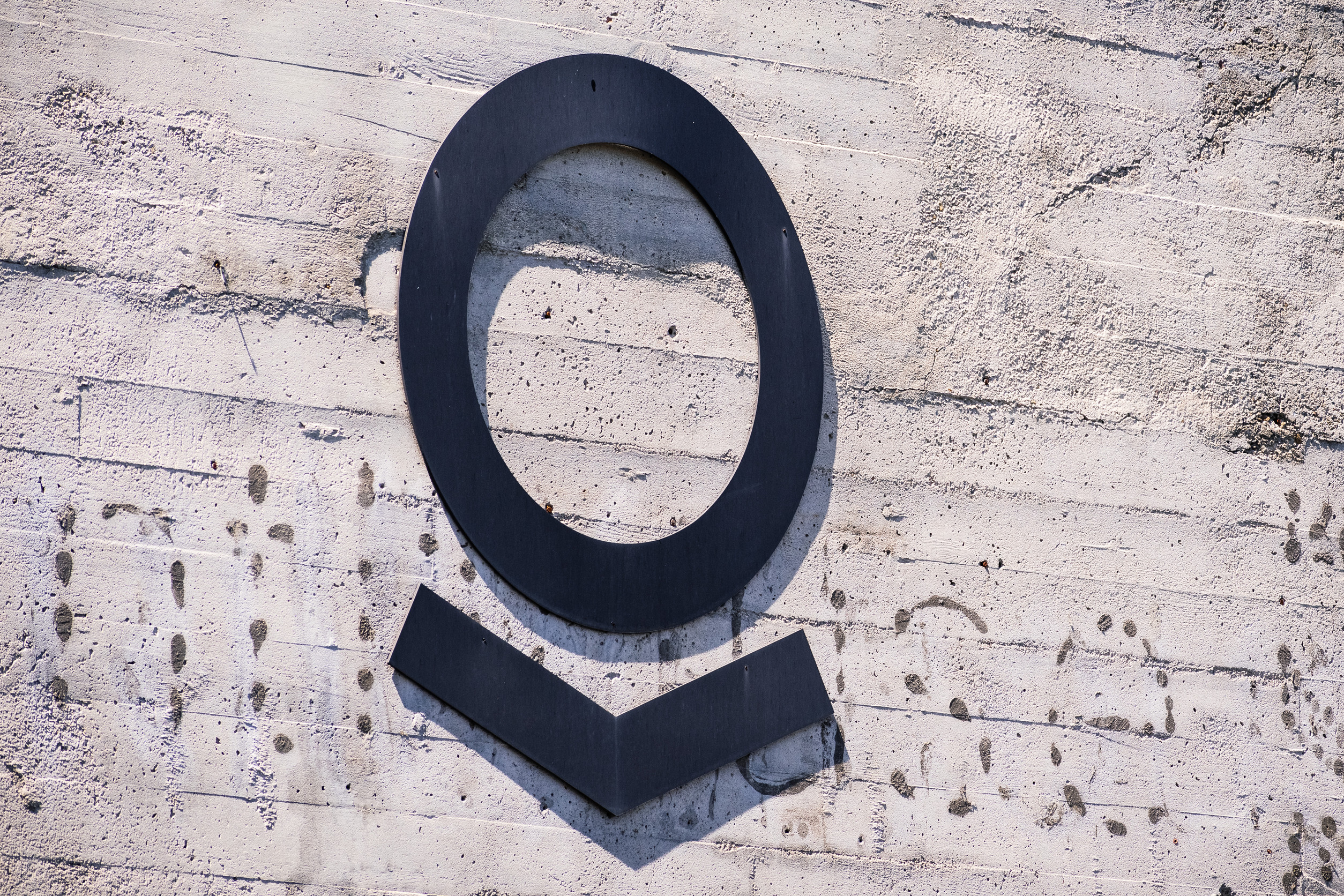 Palantir Stock Surges as US Gov. Expands Data Partnership Under Trump