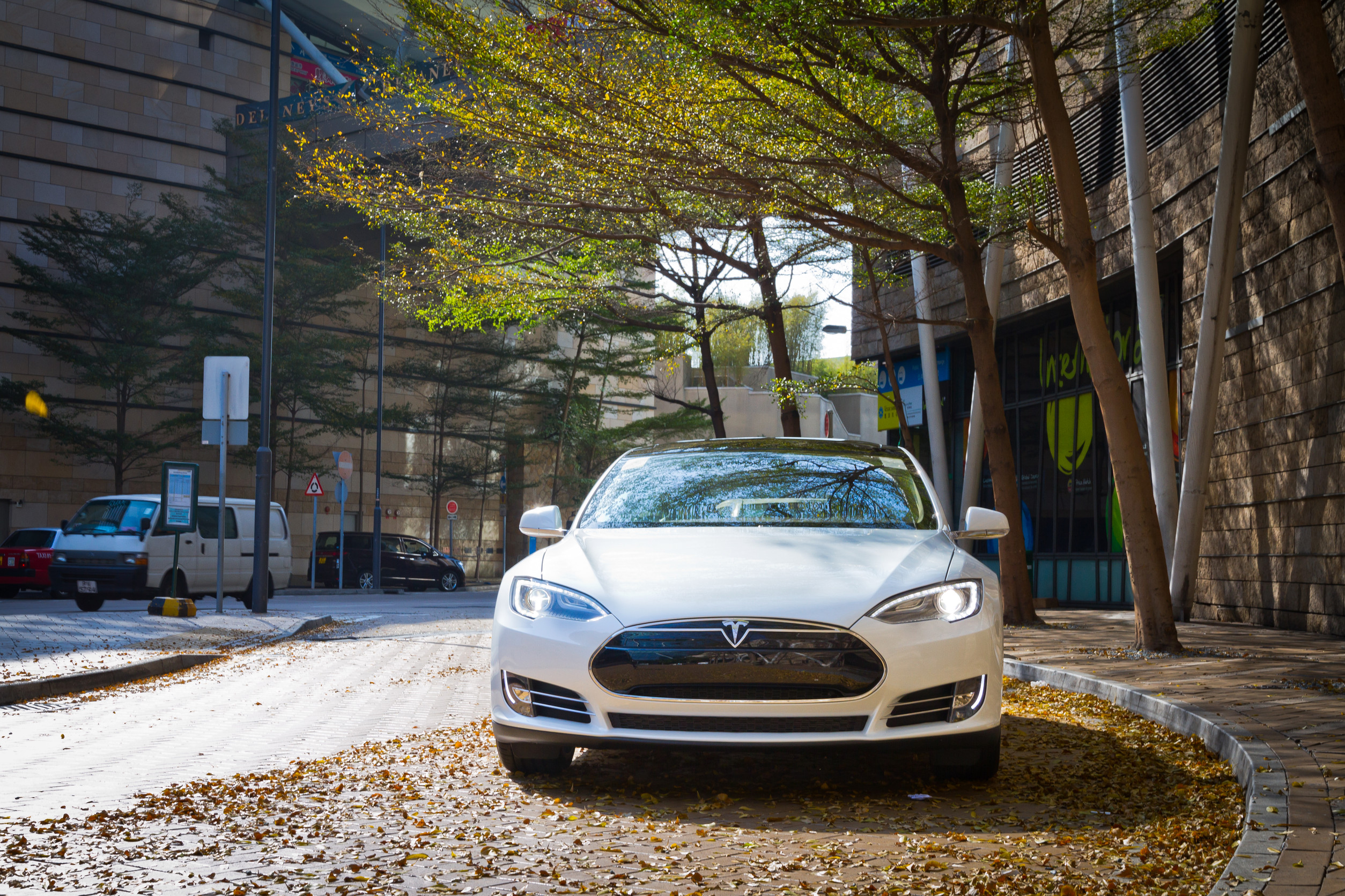 Tesla at the Crossroads: Leaving Politics on the Road Ahead