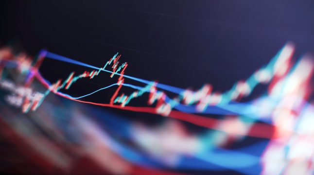 After TTD’s Sharp Fall, Cathie Wood Doubles Down: Opportunity or Value Trap?