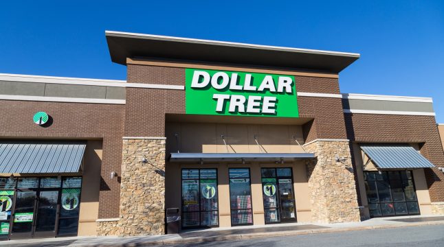 Dollar Tree Reports Strong Results for Q2 FY&#8217;25, Outperforms Expectations